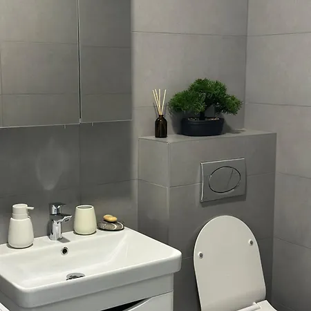 Anis Apartment *